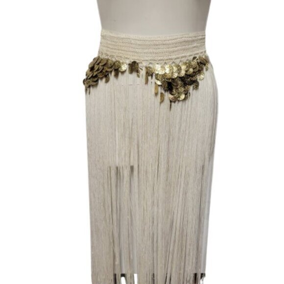 Hip Skirt Belly Dance Tassels Fringe Skirt Bellydance Coins and Fringe Hip Scarf - Picture 3 of 11